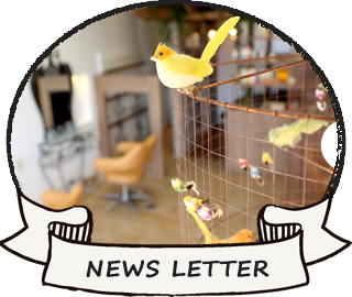 NEWS LETTER